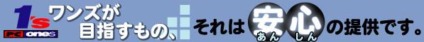 ワンズが目指すもの