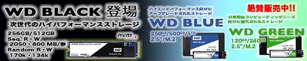 WD_SSD_600x120 WD_SSD_600x120