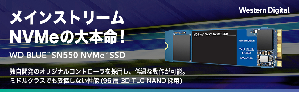 WesternDigital WD Blue SSD